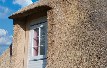 Denbeath thatch roof disadvantages