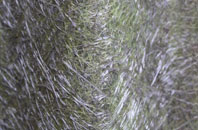 Denbeath fibreglass roof work